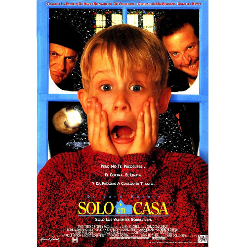 영화나홀로집에