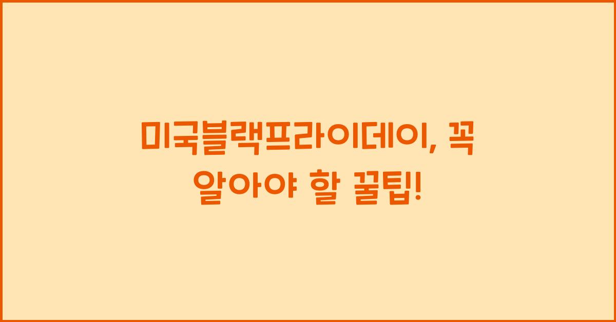 미국블랙프라이데이