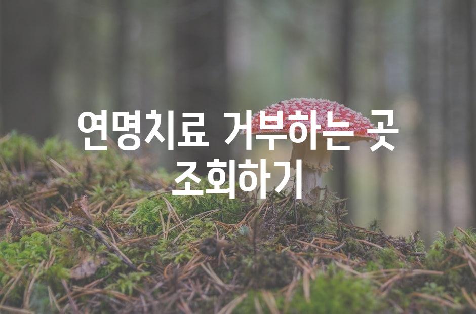 샘플 (42)