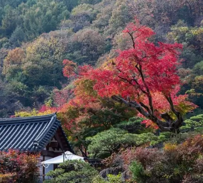 화담숲 입장료&amp;#44; 화담숲 예약