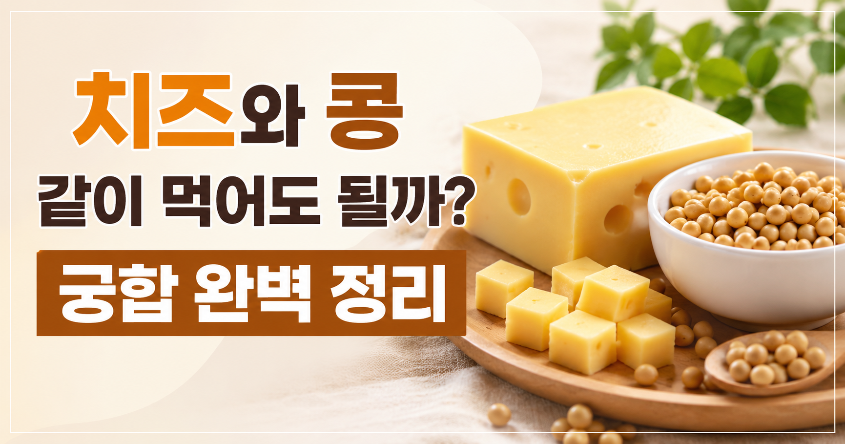 치즈와 콩 같이 먹어도 될까?