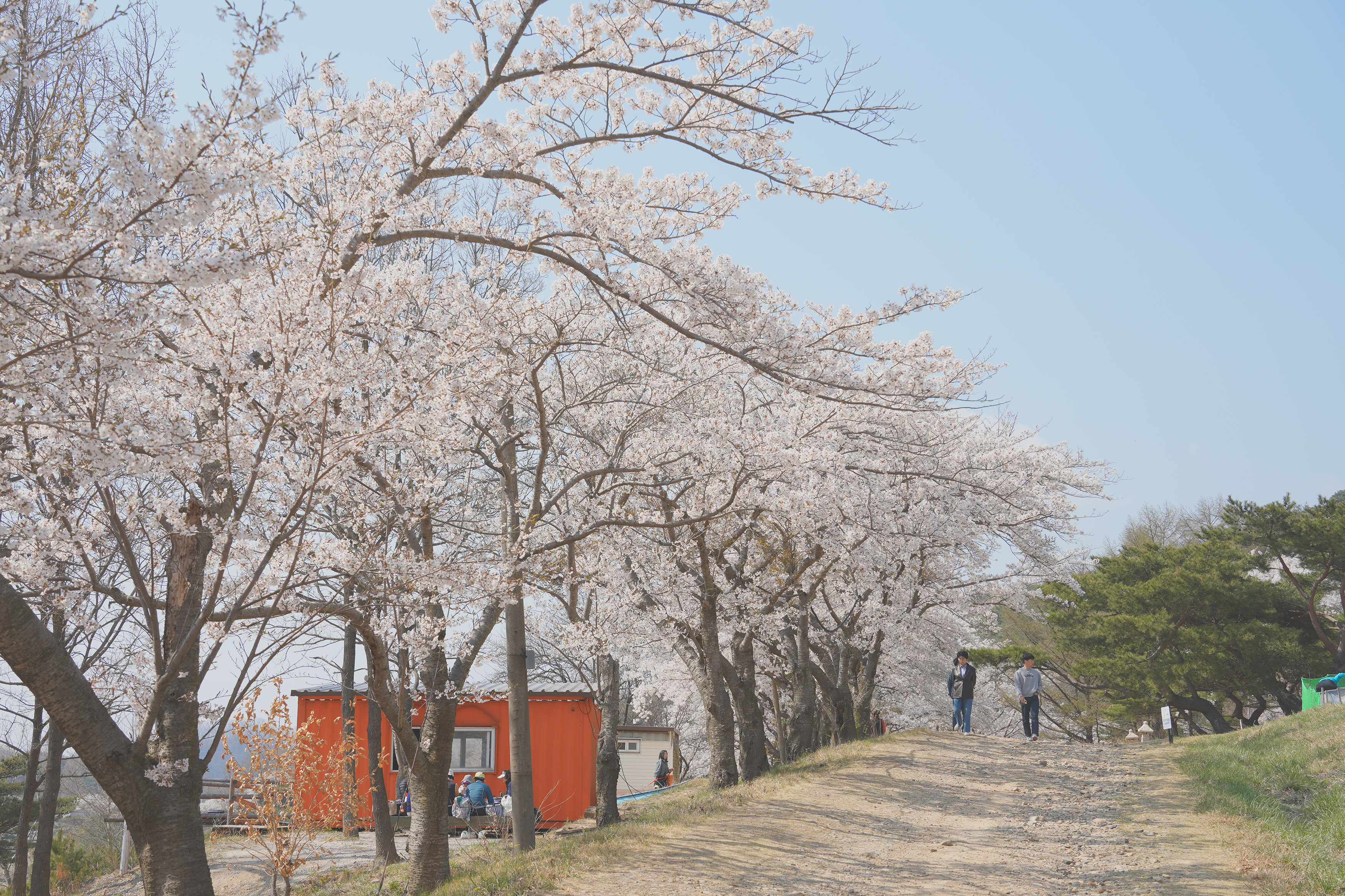 경주 화랑의 언덕 관련사진 5