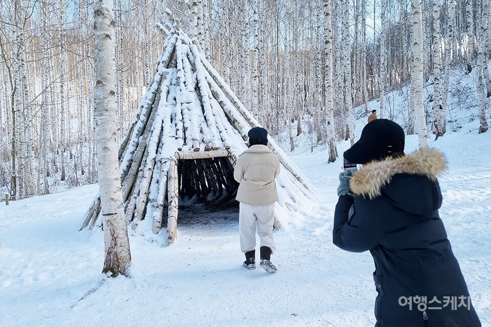 설연휴 국내 여행지 추천 - 인제 자작나무 숲