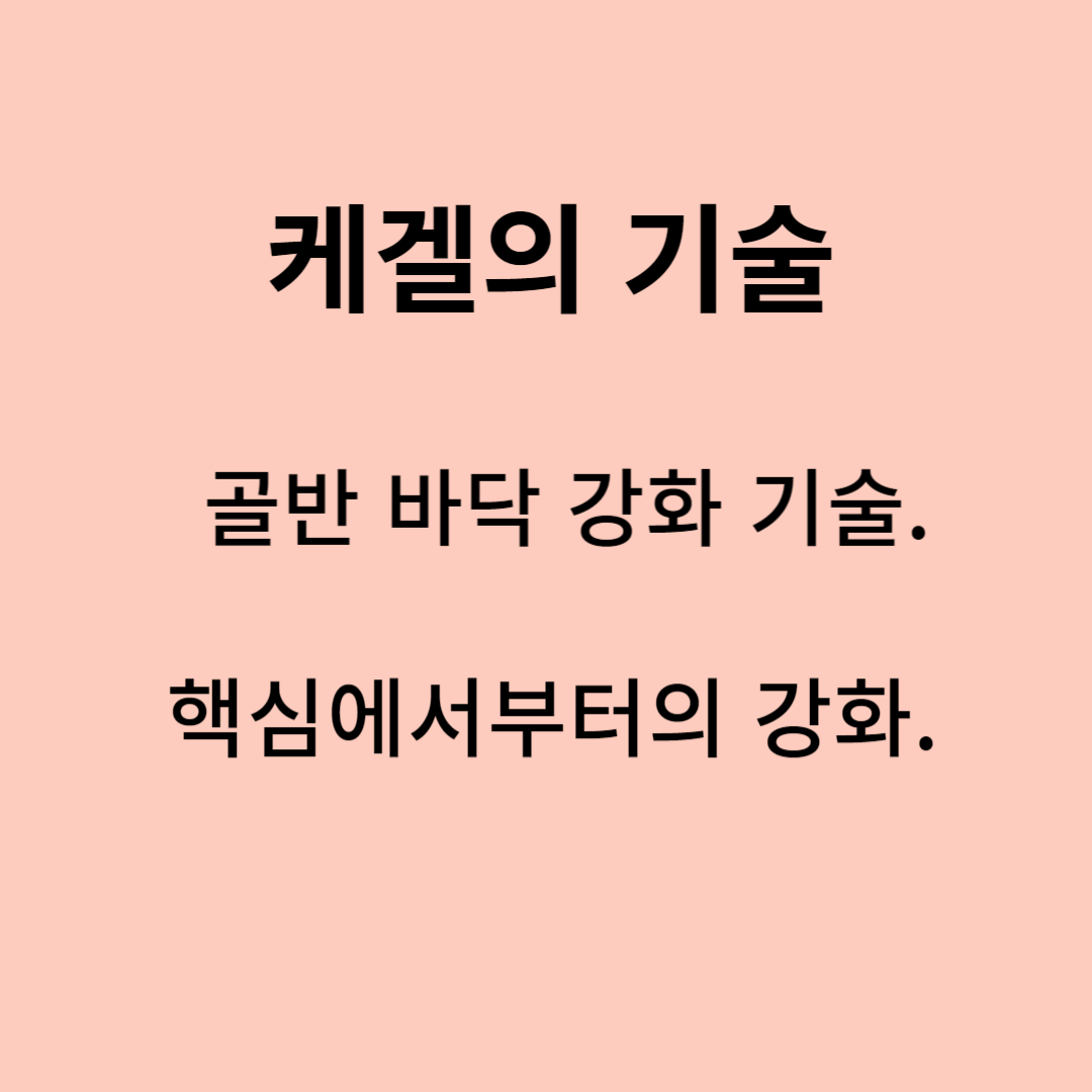 케겔의 기술 숙달 연습 : 골반 바닥 강화 기술