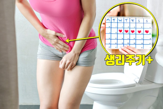 배변통증,자궁내막증 증상,난소암 증상,호르몬 불균형 증상,여성질환