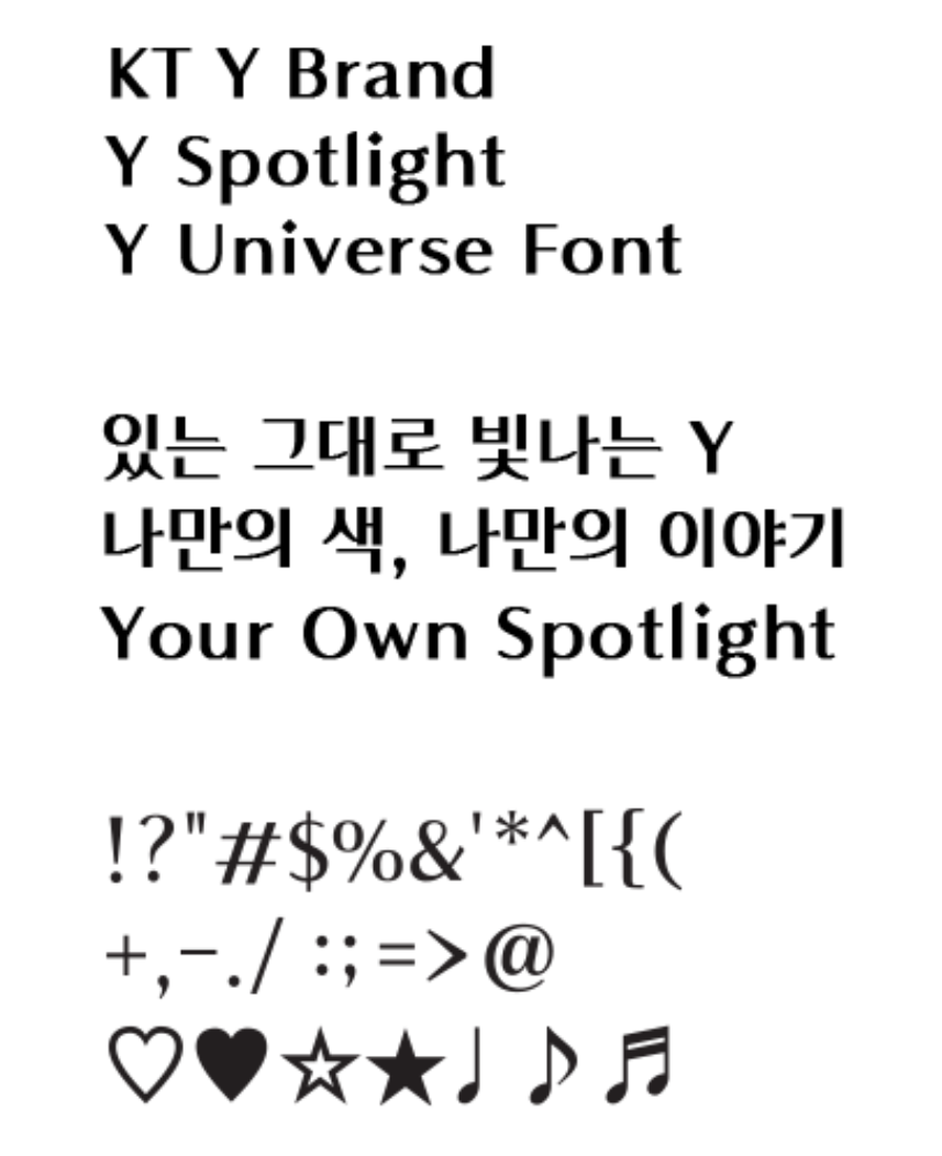 Y유니버스체B