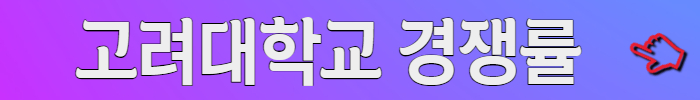 고려대학교 경쟁률