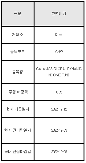 미국주식 선택배당 안내 CHW