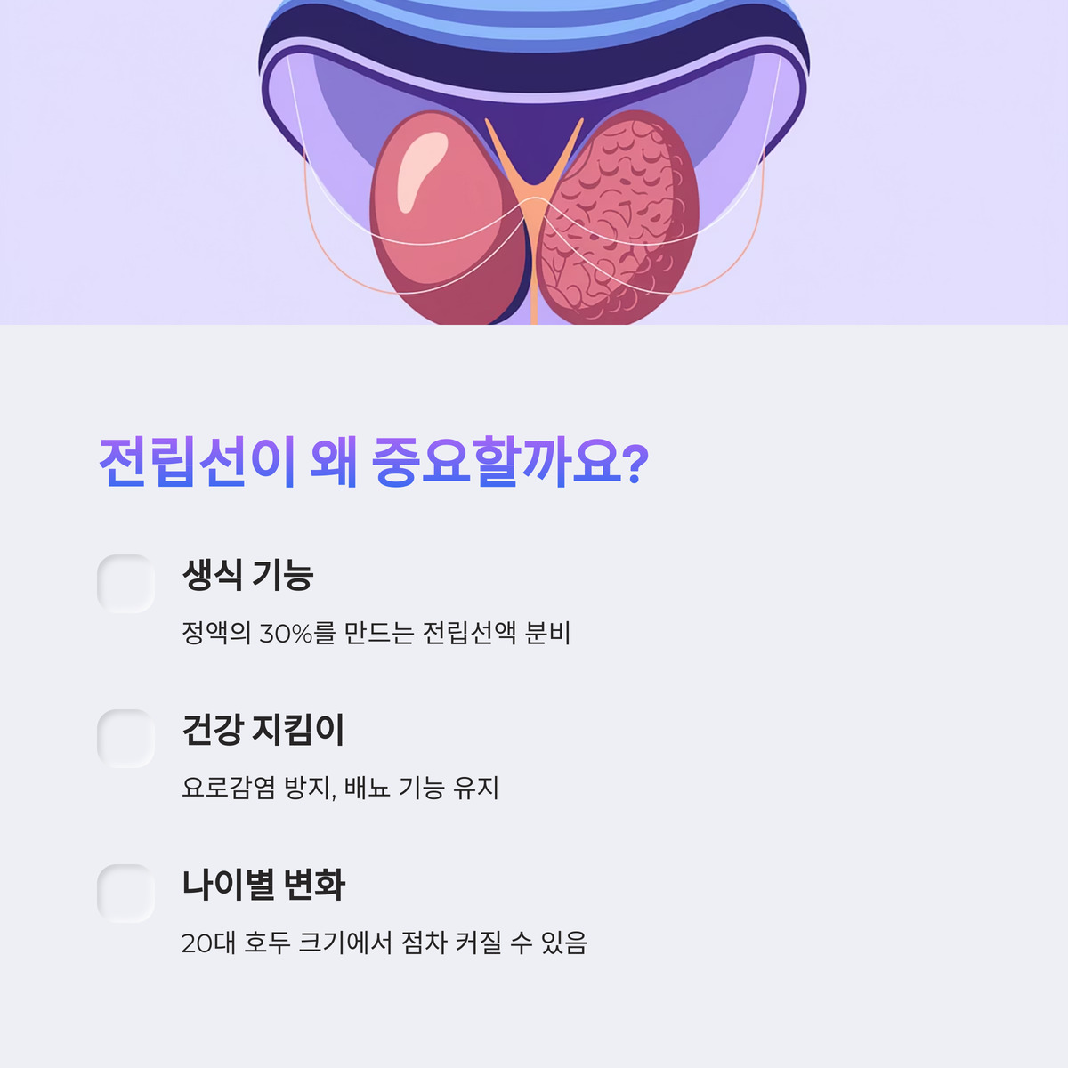 전립선, 왜 중요한 걸까?