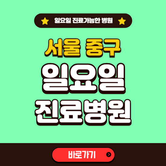 서울 중구 일요일 진료 가능한 병원 ❘ 주말 문여는 곳 총정리 (소아과, 내과, 안과, 치과, 피부과, 정형외과, 산부인과)