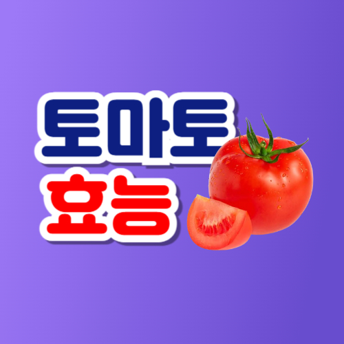 토마토 효능