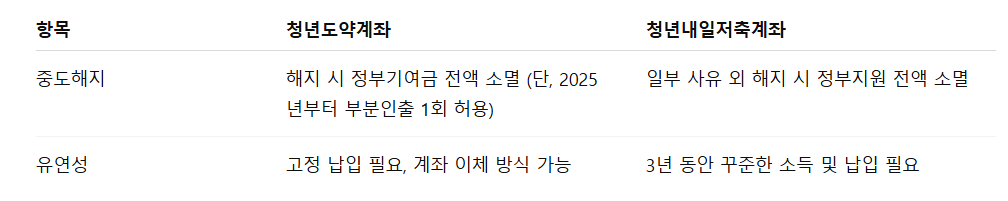 청년도약계좌와 청년내일저축계좌 비교