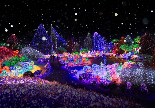 . 가평 아침고요 수목원 빛 축제 역사