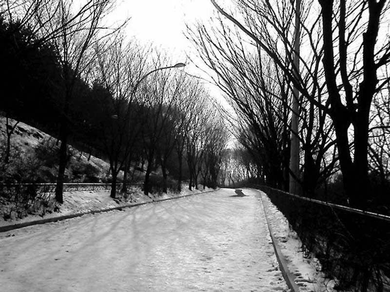 눈내린 안산자락길