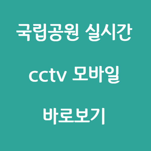 국립공원 실시간 cctv 모바일 바로보기 썸네일