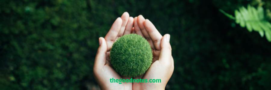 부산광역시-탄소배출권-확보-전략:-도시숲으로-만드는-탄소중립-도시