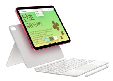 Apple 정품 2022 아이패드 10세대 : 919,000원 (실버, 256GB x Wi-Fi)