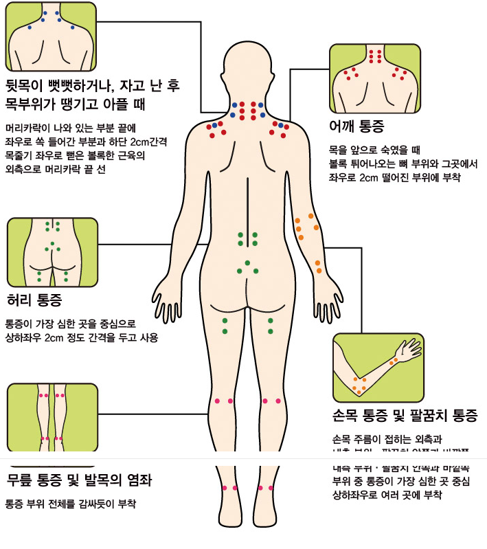 자석파스 붙이는 곳 위치 알아두고 붙여야 통증이 잘 가시더라고요?