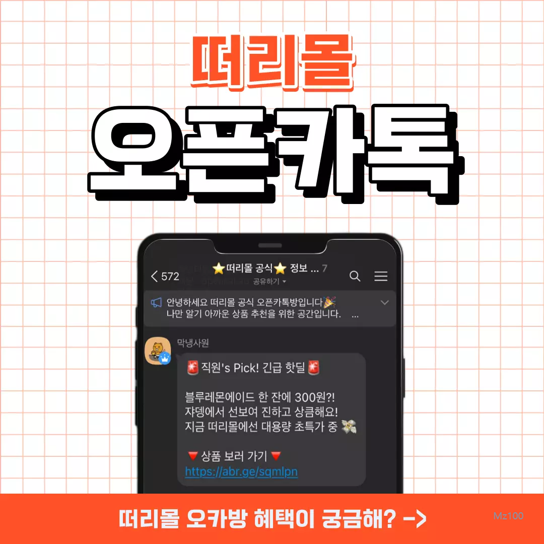 떠리몰 살펴보기 9
