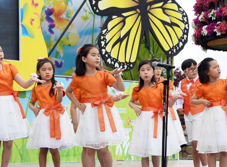 2024 함평 나비축제