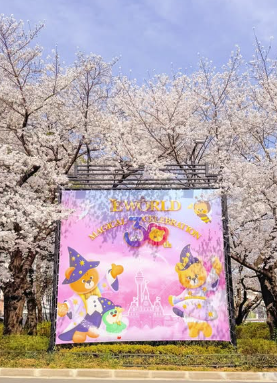 대구 이월드 벚꽃 축제