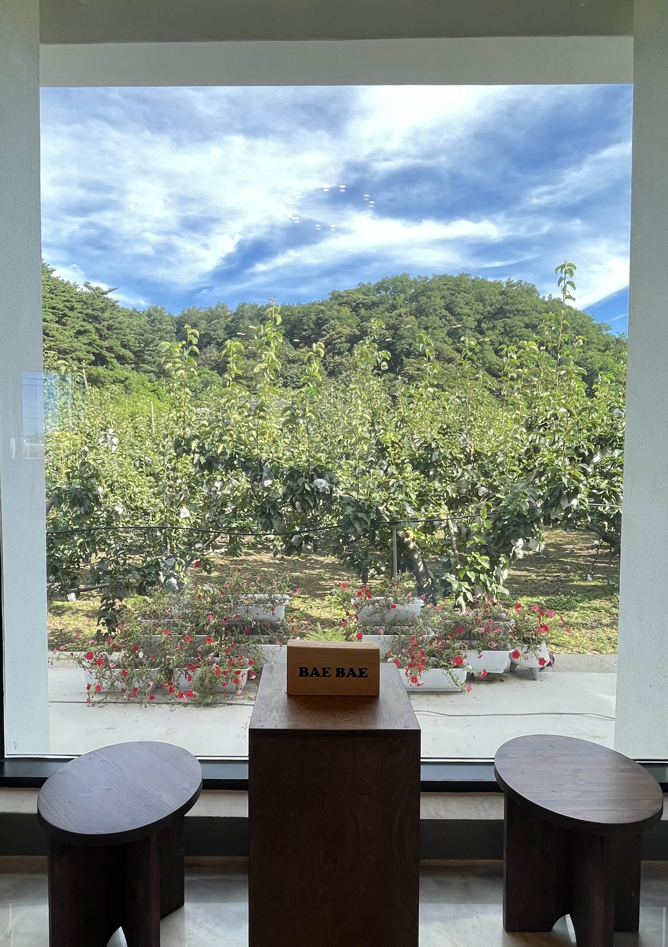 양양-배배-내부