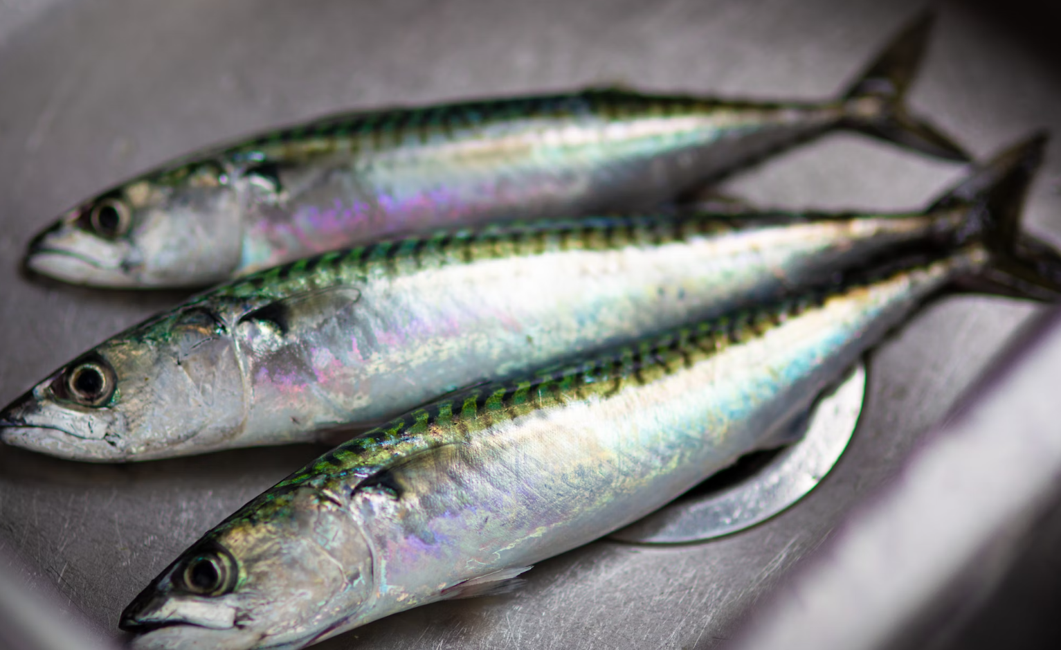 오메가3 풍부한 식품 5