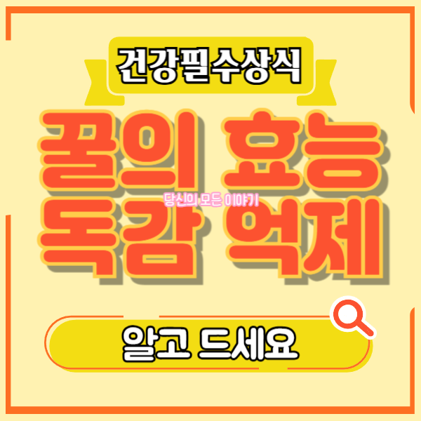 건강-필수-상식-꿀의-효능-독감-억제-알고-드세요-돋보기-그림