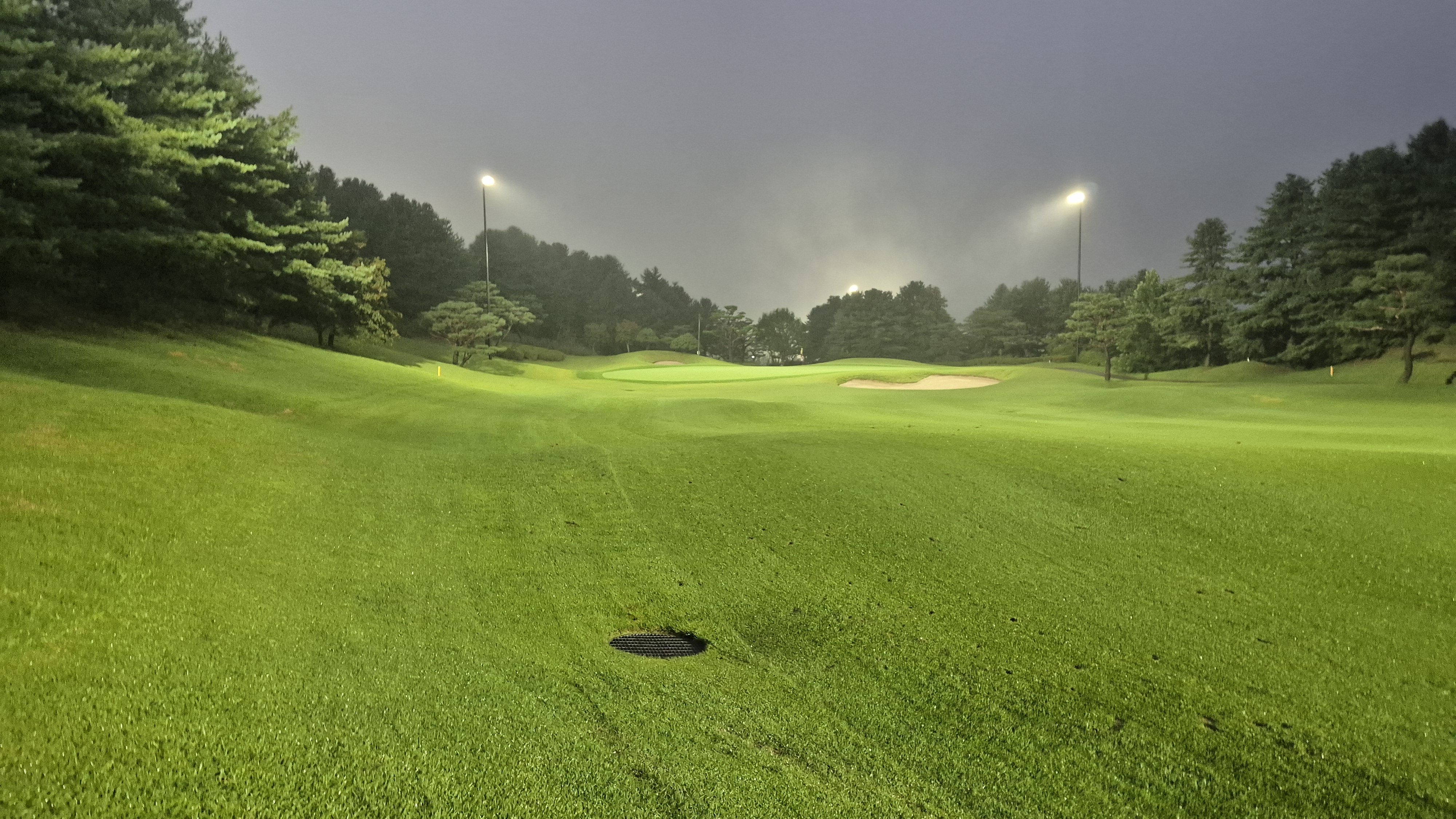 블루원용인cc 코스 난이도