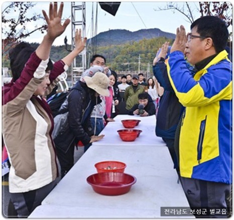 벌교꼬막 축제 프로그램
