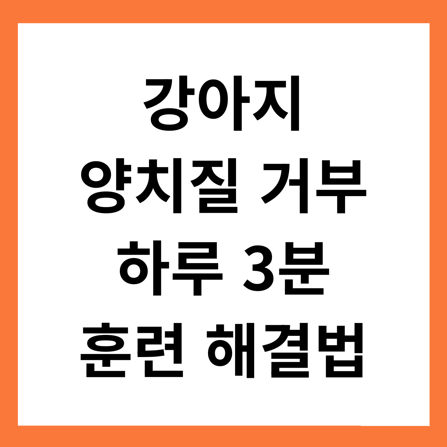 강아지가 양치질을 거부해요? 하루 3분 훈련으로 해결하는 법
