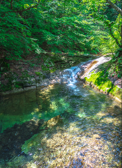 공주-동학사계곡