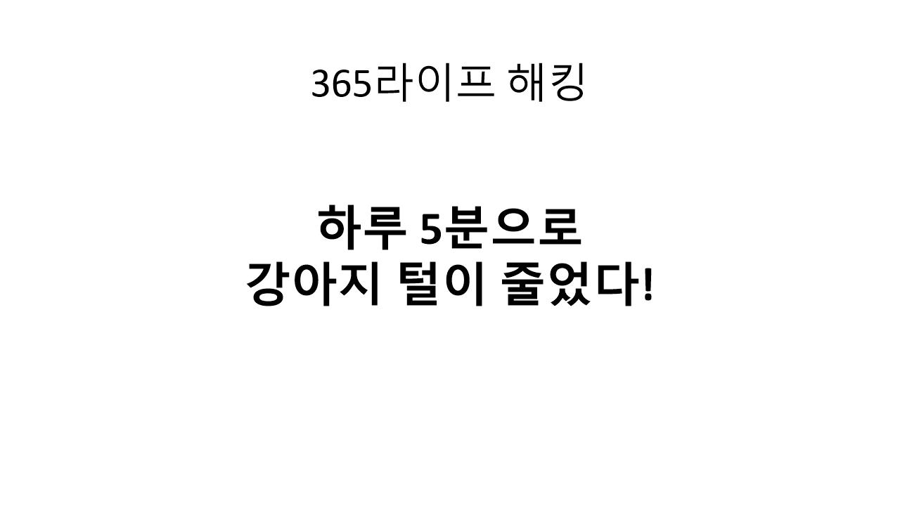 우리 집 소파가 깨끗해진 이유 &ndash; 브러싱 루틴 하나 바꿨을 뿐인데