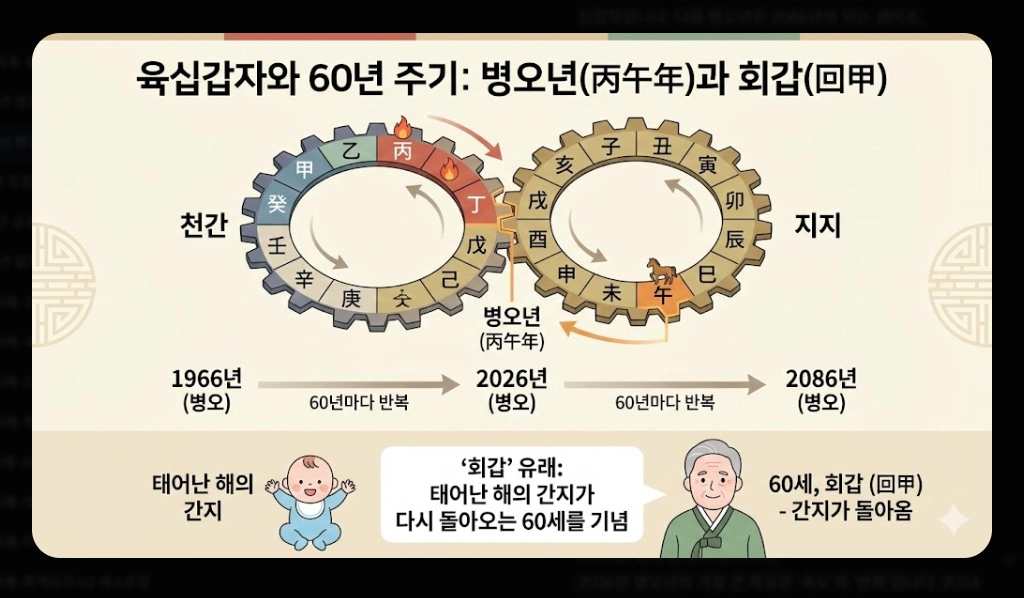 2026년 병오년 새해 운세 완벽 정리