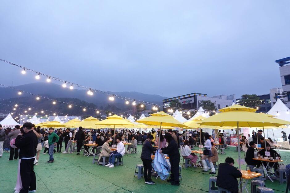 고창 벚꽃 축제 2026 완벽 가이드