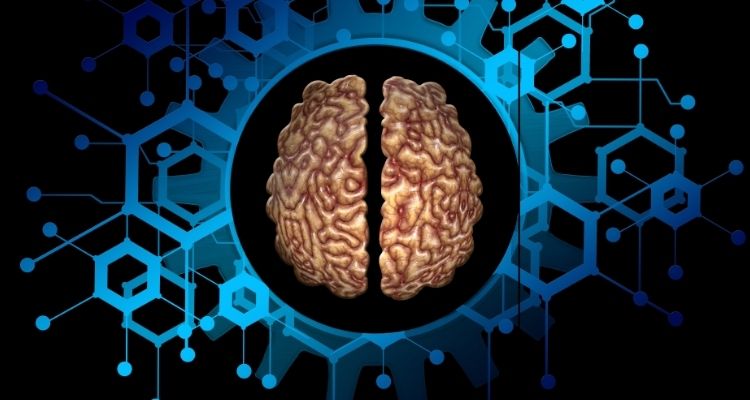 도파민 뜻 뇌에 미치는 영향