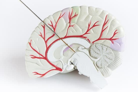 두개골 제거술(Craniectomy): 정의, 과정 및 목적