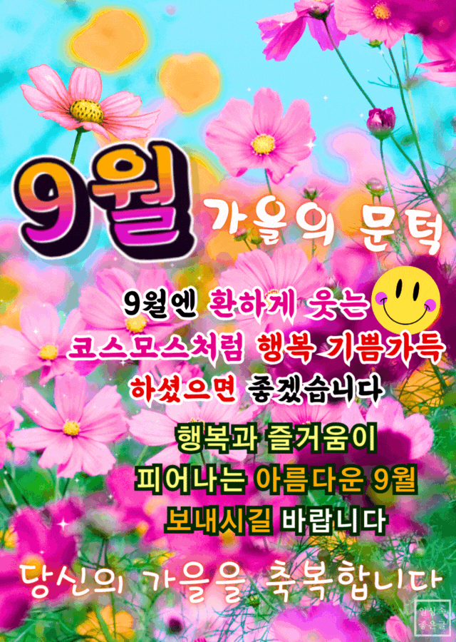 9월 인사말 이미지, 코스모스 가을 꽃과 함께하는 환한 9월 인사, 행복한 가을 카톡 안부 이미지