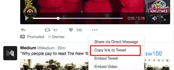 TwitterVideoDownloader 사용법 2