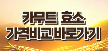 소화가 편해지는 비결! 카무트 효소 제품 비교 추천👍