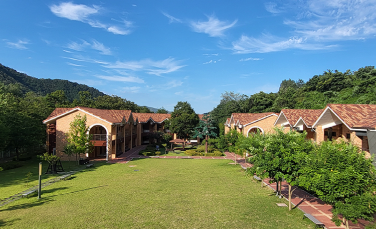 동해 무릉건강숲