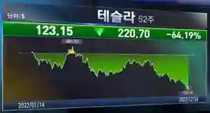1위_테슬라