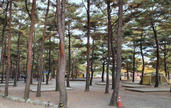 오토캠핑장-전경