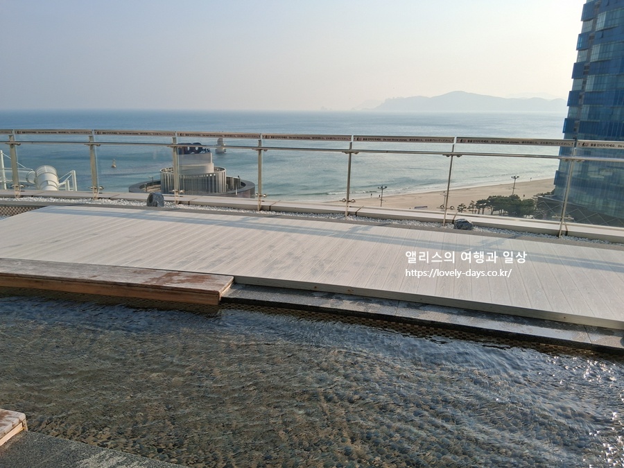 클럽디오아시스 겨울 가격 할인 청수당 준비 후기