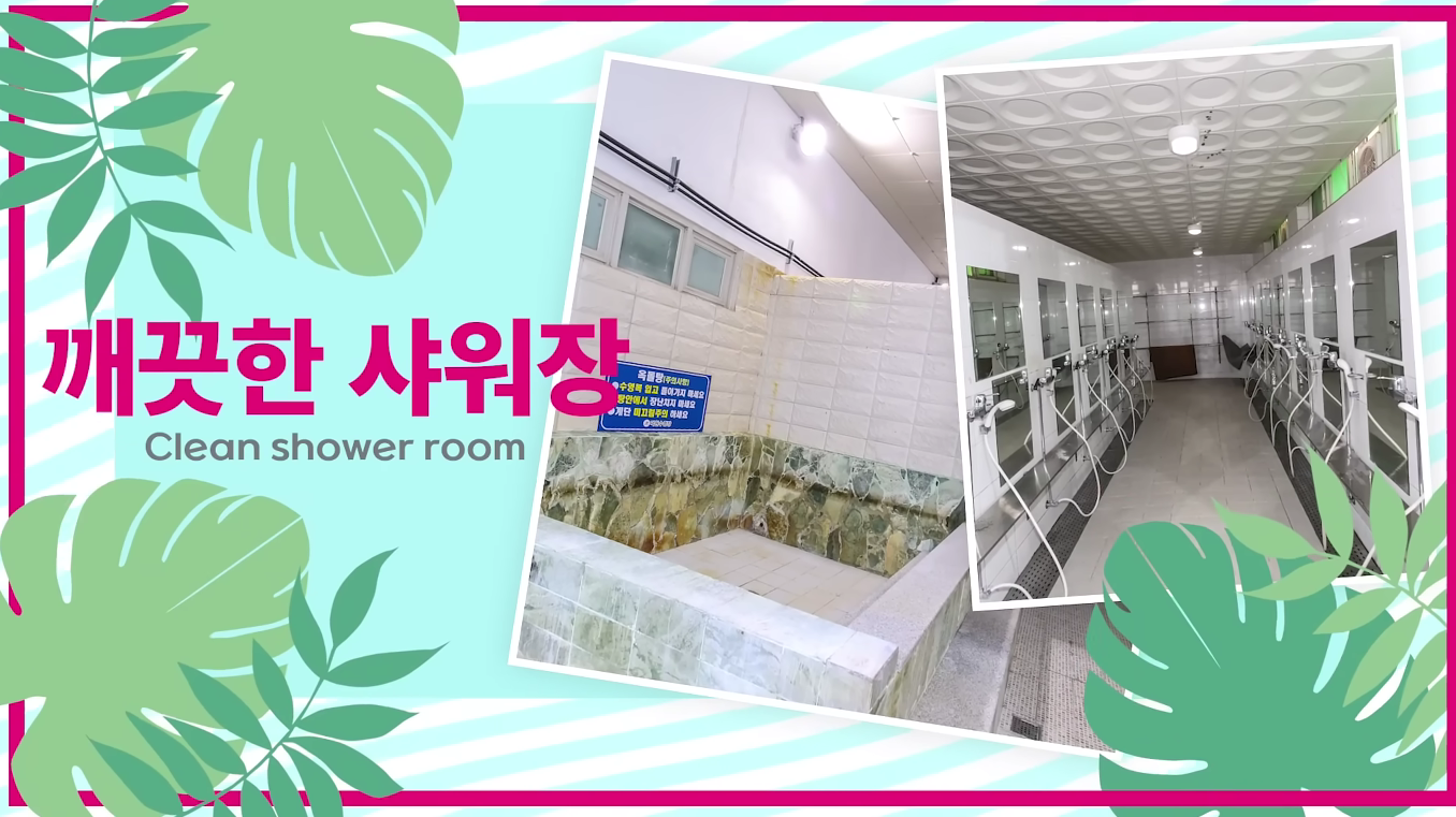 🏊 대구 덕원수영장 (일요일, 공휴일 자유수영, 개인레슨, 어린이, 성인, 강습, 등록,주말 오리발사용, 가격, 시간표, 수영복)총정리!