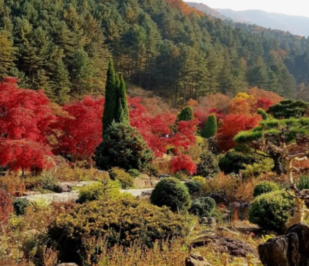 가을-여행하기-좋은-곳-추천