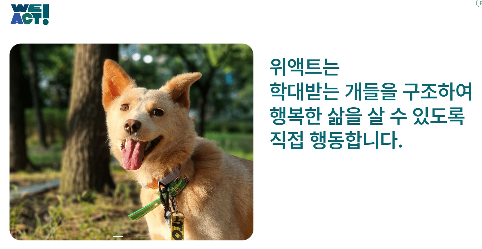 위액트 홈페이지