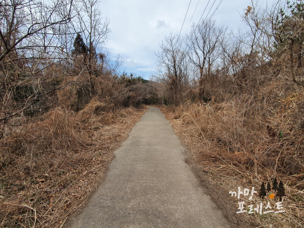 큰사슴이 오름 초입