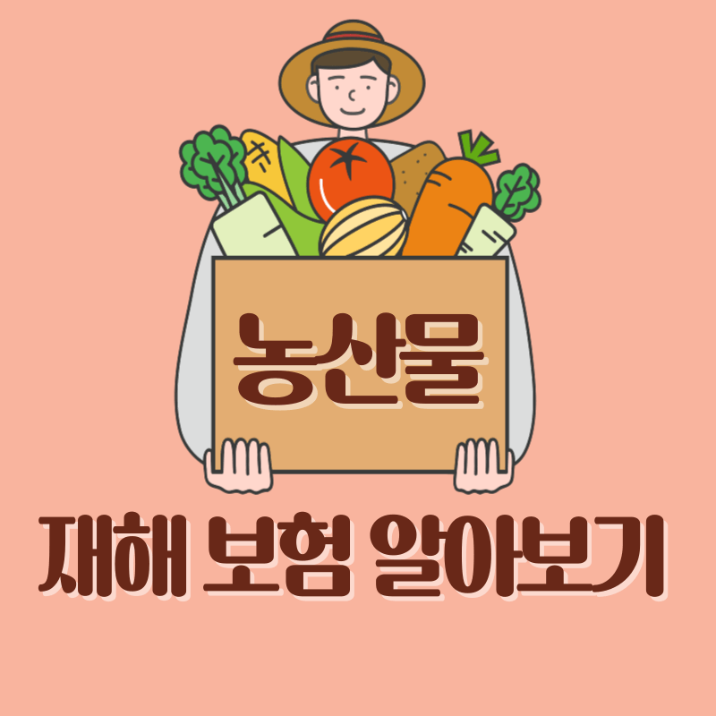 농산물 재해 보험
