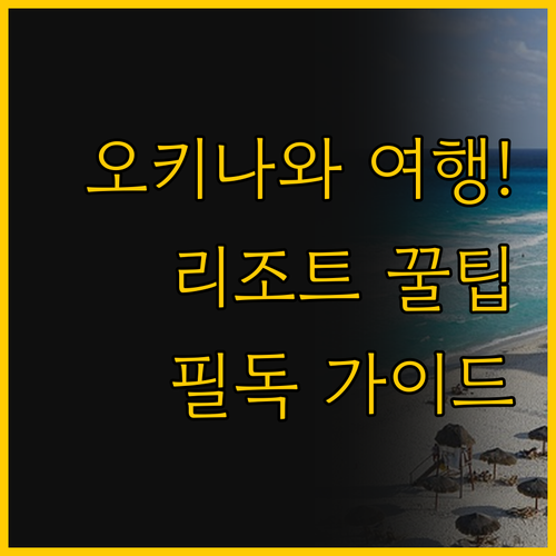 ANA 우루마힐스 대 힐튼 자탄 오키..